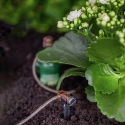 Blumat Verteiltropfer, 10er Set -Garten Pflanzen Geschäft blumat verteiltropfer 10er set4