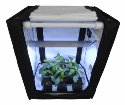 FYTO Base V40.2 Pro, 40 X 30 X 50cm, Anzuchtbox Mit LED, Beige Oder Schwarz