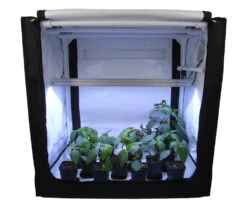 FYTO Base V60.2 Pro, 60 X 40 X 60cm, Anzuchtbox Mit LED, Beige Oder Schwarz