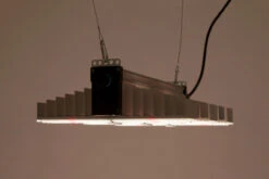 SANlight EVO 3-60 1.5 LED, 200W -Garten Pflanzen Geschäft sanlight evo 15 3 603