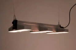 SANlight EVO 3-80 1.5 LED, 200W -Garten Pflanzen Geschäft sanlight evo 15 3 803