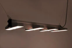 SANlight EVO 4-120 1.5 LED, 265W -Garten Pflanzen Geschäft sanlight evo 15 4 1203