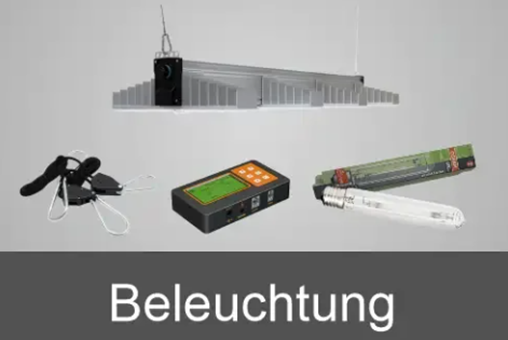 Garten Pflanzen Geschäft -Garten Pflanzen Geschäft d30e3f4f0cf6a500be1778eb11ebd186