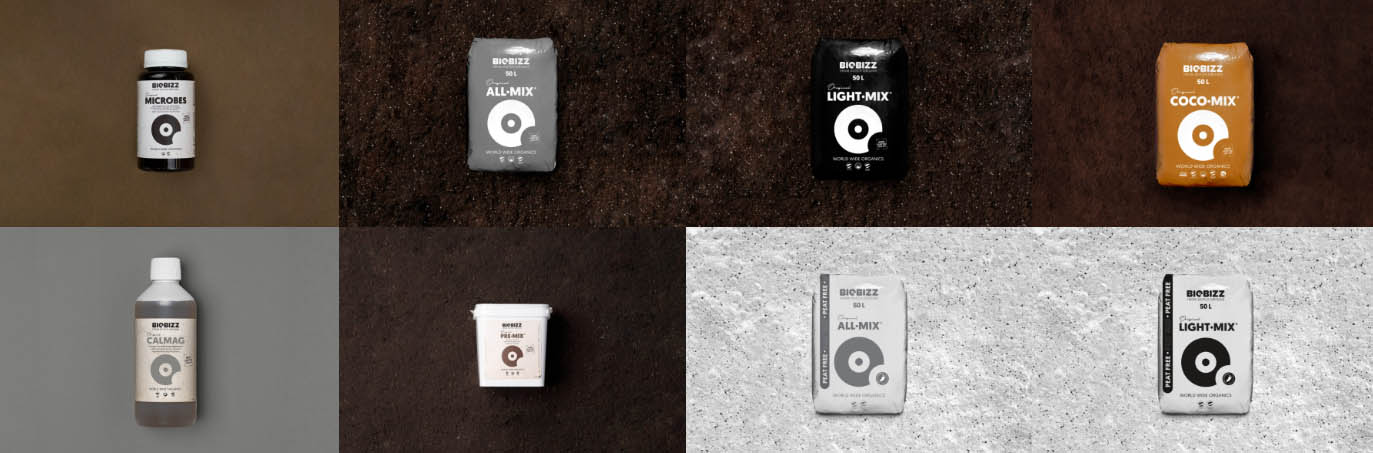 Garten Pflanzen Geschäft -Garten Pflanzen Geschäft gyuiyui